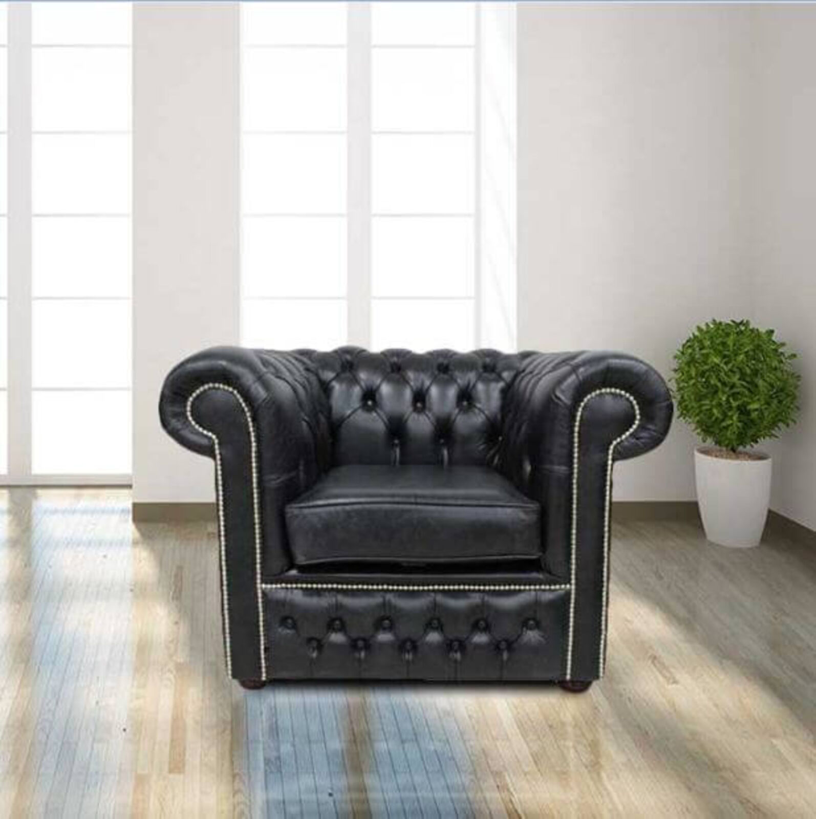 Product photograph of Chesterfield Winchester Low Back Club Armchair Old English Black Leather from Designer Sofas 4U